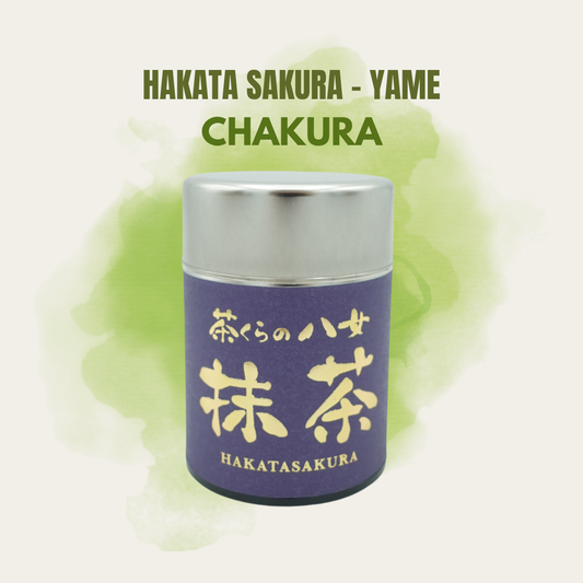 Hakata Sakura - Yame Matcha