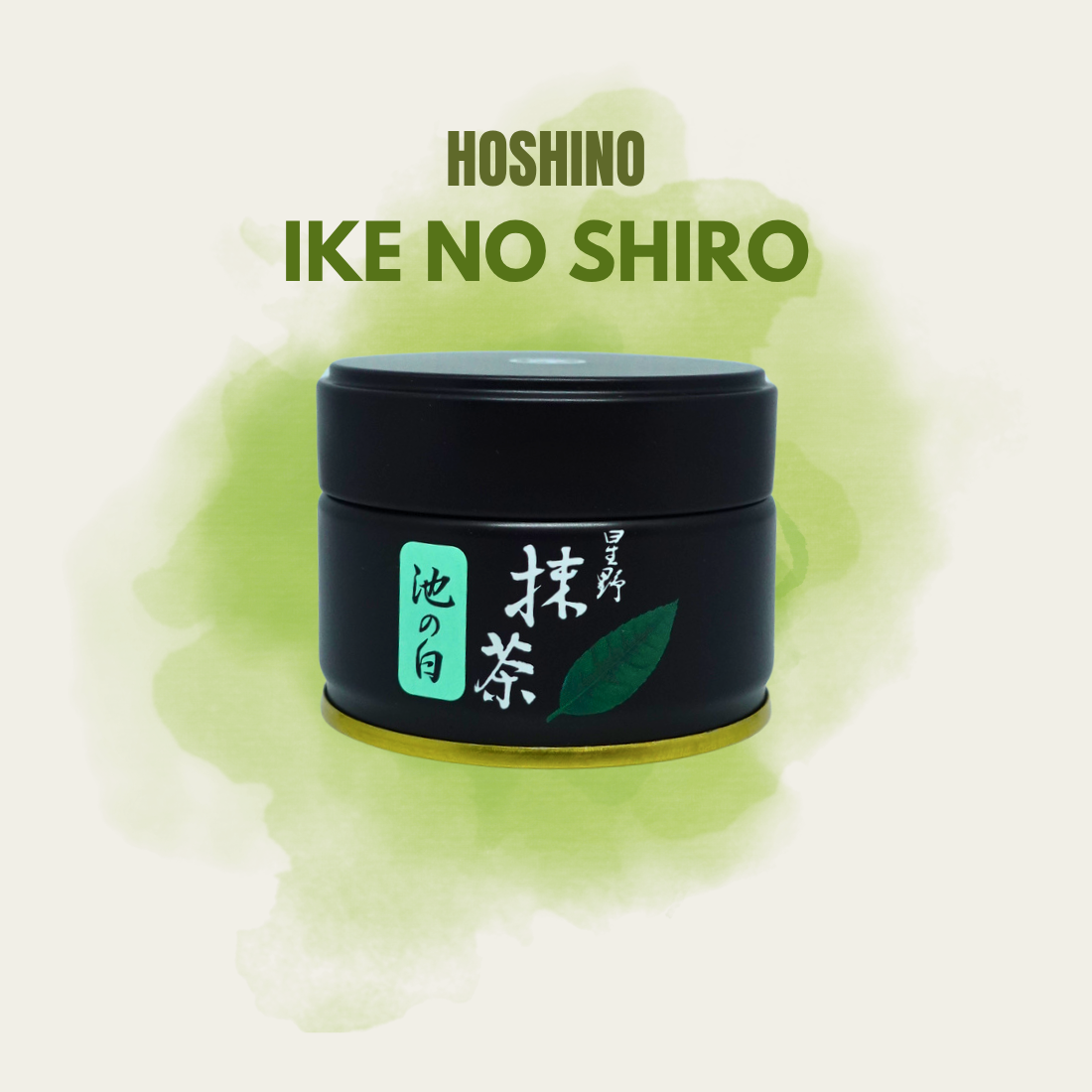 Hoshino Ike no Shiro