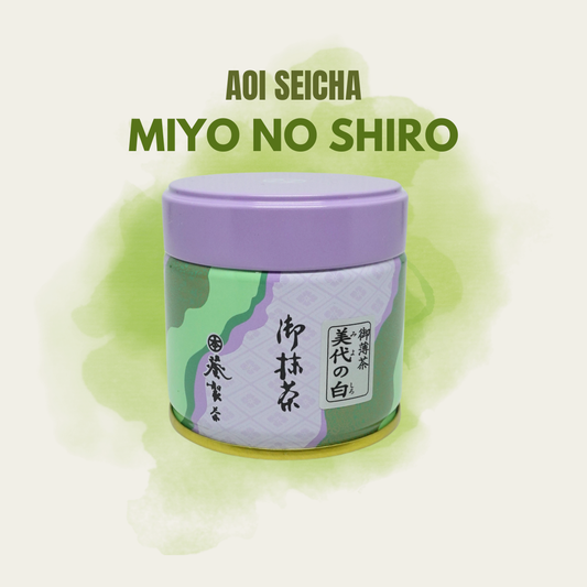 Aoi Seicha Miyo no Shiro