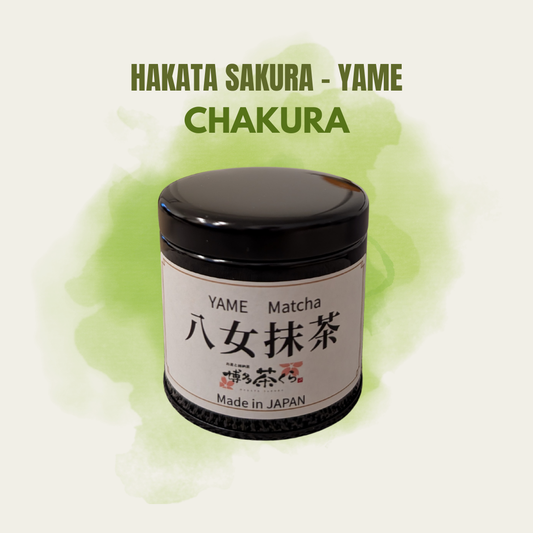Hakata Sakura - Yame Matcha