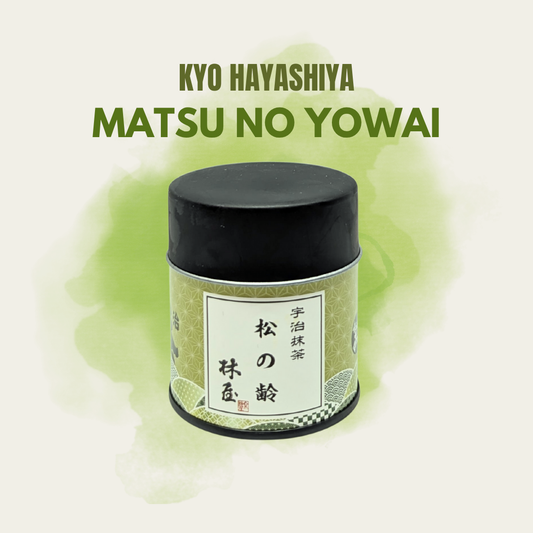 Kyo Hayashiya Matsu no Yowai